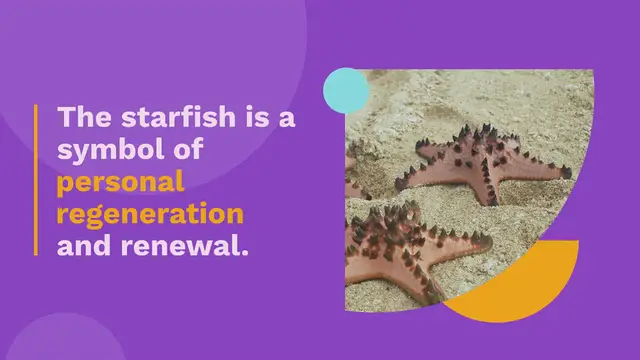 Video thumbnail for Starfish Spirit Animal