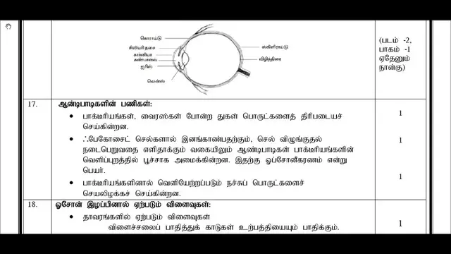 Video thumbnail for 12th Bio-Zoology Public Exam March 2019 Answer Key | Tamil Medium | Team Aspirants