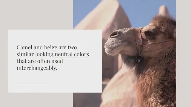 Video thumbnail for Is camel same as beige?