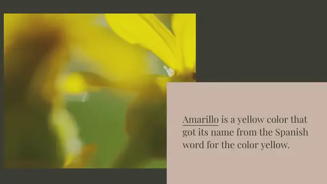 Video thumbnail for What is this color Amarillo?