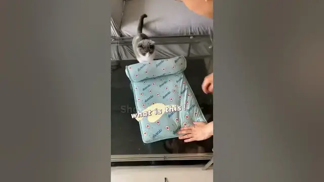 Video thumbnail for 🐶😺 Cooling Mat for Dogs and Cats 🐶😺 || Link is in Description