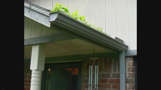 'Video thumbnail for How Often Should I Clean My Gutters?'