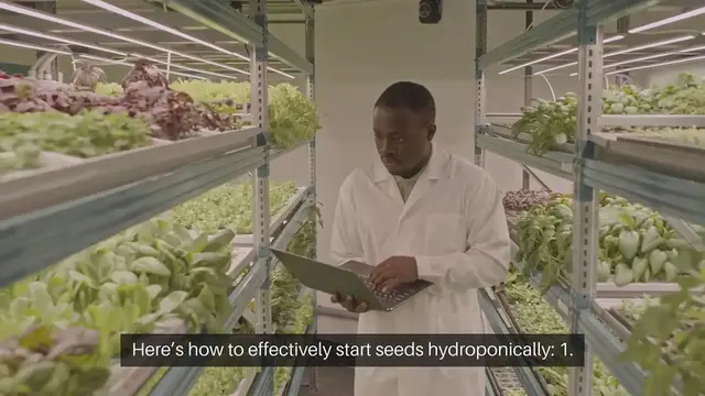 Video thumbnail for Hydroponic Seed Starting Techniques