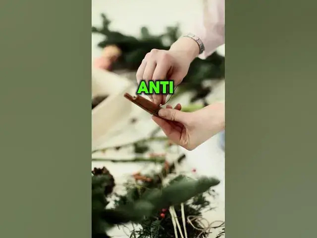 Video thumbnail for 5 Amazing Home Remedies for Kennel Cough #herbalremedies  #doglovers #homeremedies