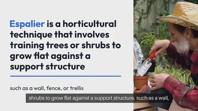 Video thumbnail for The Art of Espalier Training Fruit Trees