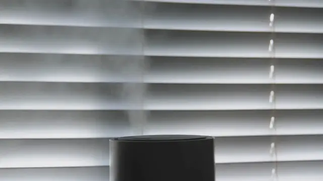 Video thumbnail for Is White Dust From a Humidifier Dangerous?