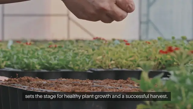 Video thumbnail for Step by Step Seed Sowing Guide