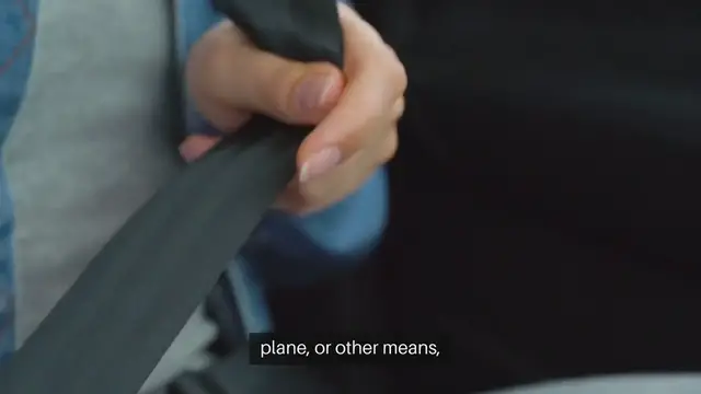 'Video thumbnail for Safe Pet Travel Accessories'