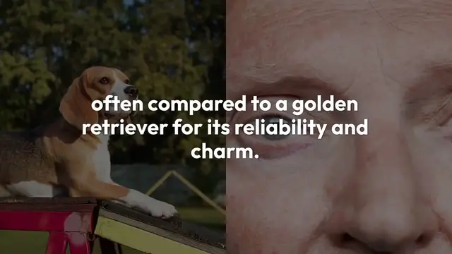 Video thumbnail for Sony 85mm Lens: A Photographer's Best Friend (And Maybe Even a Therapist)