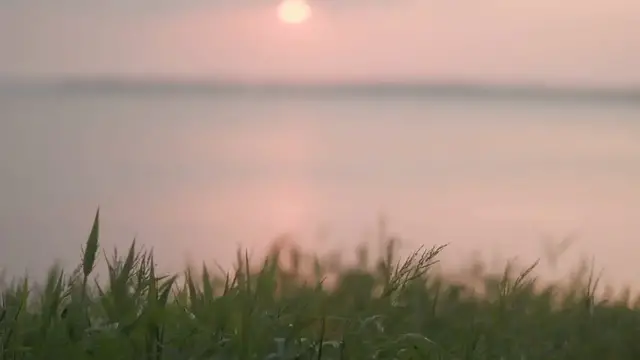 Video thumbnail for The Devastating Impact of Canada’s Wildfires