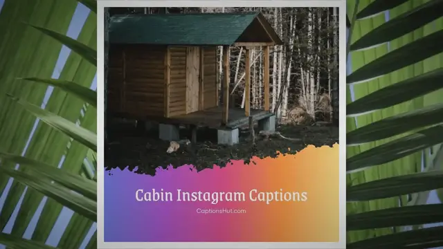 'Video thumbnail for 220+ Cabin Instagram Captions, Copy-Paste'