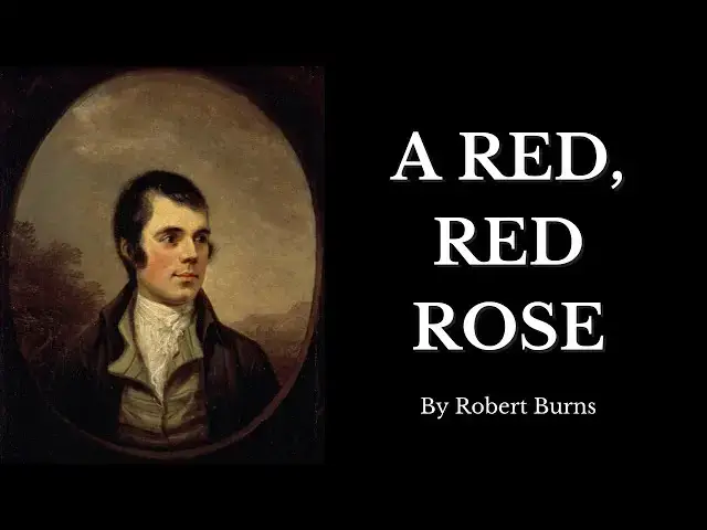 Video thumbnail for 🔥Best Love Poetry - A Red, Red Rose - By Robert Burns🔥
