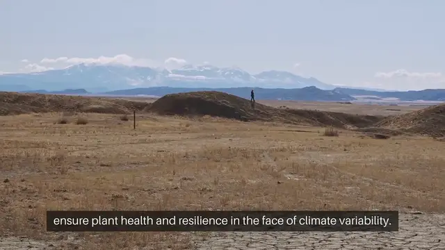 Video thumbnail for Adapting Your Garden for Extreme Weather