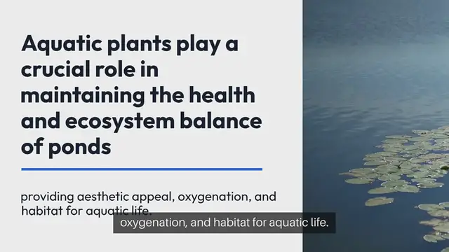 Video thumbnail for All About Aquatic Plants for Ponds