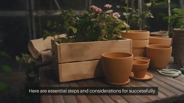 Video thumbnail for Seed Starting for Bonsai Trees