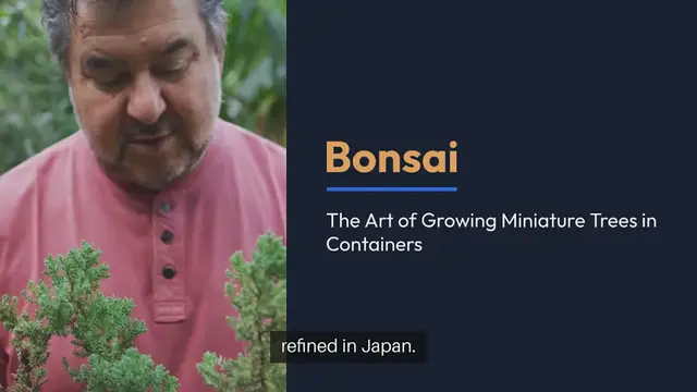 Video thumbnail for All About Bonsai A Beginner s Guide