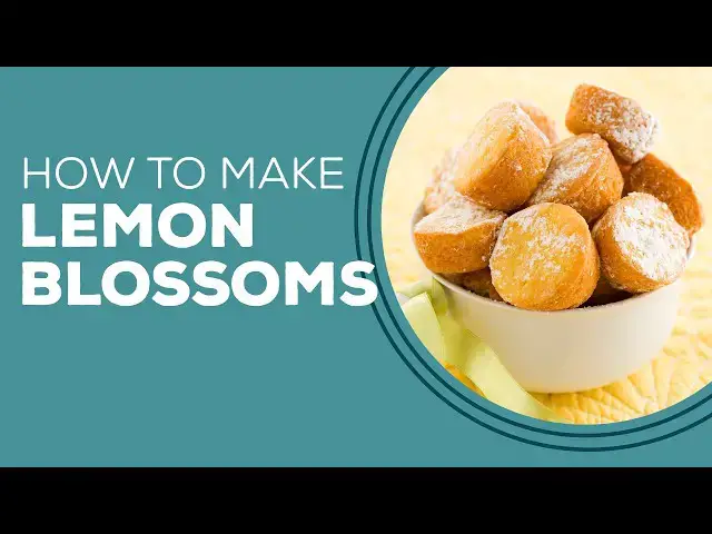 Video thumbnail for Blast from the Past: Lemon Blossoms Recipe | Easy Lemon Dessert Ideas