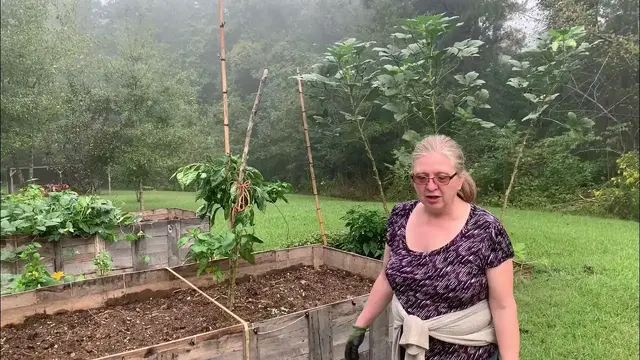 'Video thumbnail for Planting the fall/winter garden'