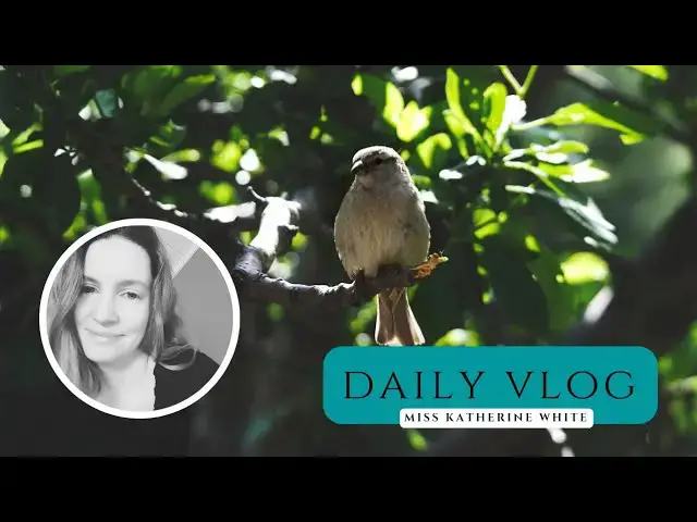 Video thumbnail for 🧠 Daily Vlog | Kopfverletzung durch Vogel? 🐦💥 Wie ein Stein mit Federn! 😳