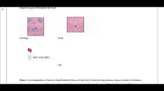 Video thumbnail for 11th Bio-Zoology First Mid Term Answer Keys 2018-19 | Vellore District | English Medium