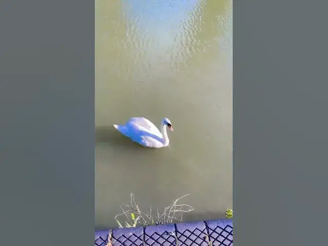 Video thumbnail for 12 July 2024