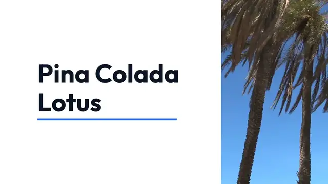 Video thumbnail for Pina Colada Lotus Recipe – A Tropical Twist on a Classic Drink