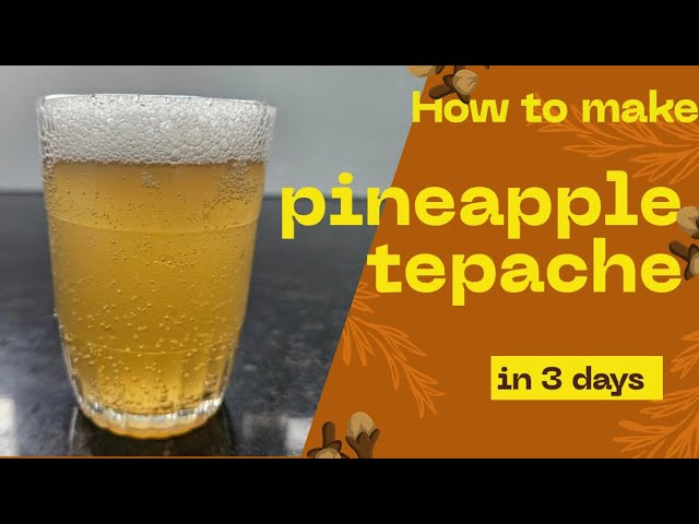 Video thumbnail for 3 ദിവസം കൊണ്ട് നല്ല ടേസ്റ്റിൽ ഒരു pineapple tepache #pineapple #tepache