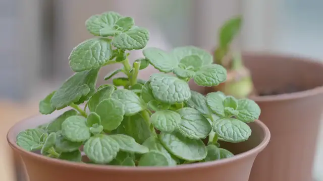 Video thumbnail for Modern Bedroom Design Ideas 2024 - Home Interior Decorating