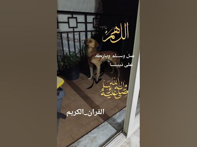 Video thumbnail for 17 Gennaio 2026