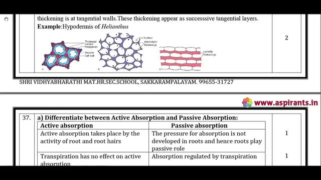 Video thumbnail for 11th Botany Public Exam March 2019 Answer Keys | English Medium | Team Aspirants