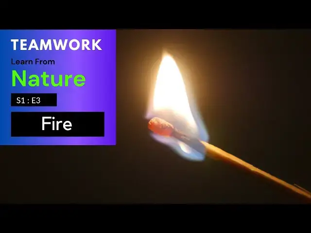 Video thumbnail for Teamwork | Learn from Nature | S1E3 | Fire Element