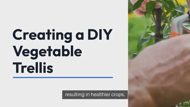 Video thumbnail for DIY Vegetable Trellis