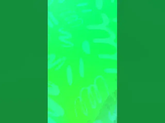 'Video thumbnail for 31 January 2023'
