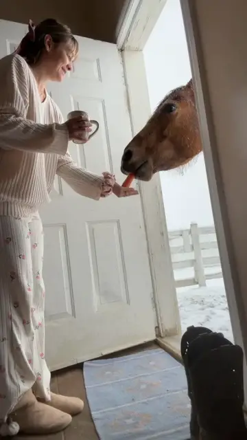 Video thumbnail for Cozy Ranch Morning as a Horse Knocks at the Door
