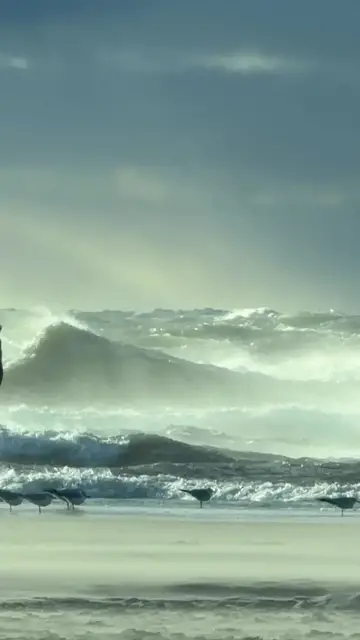 Video thumbnail for Gale Force Waves and Spindrift at South Haven Lighthouse