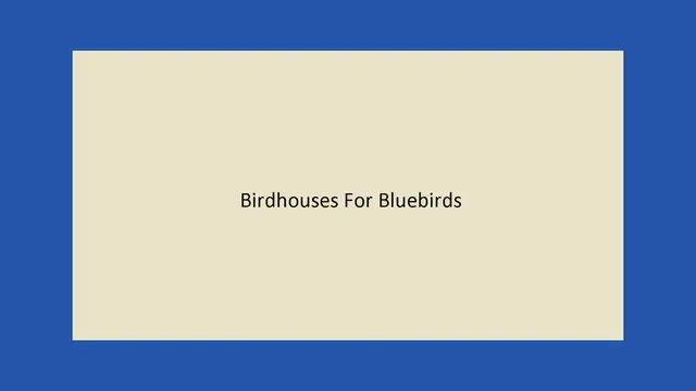 Video thumbnail for Explore Beautiful Birdhouses For Bluebirds In Your Yard