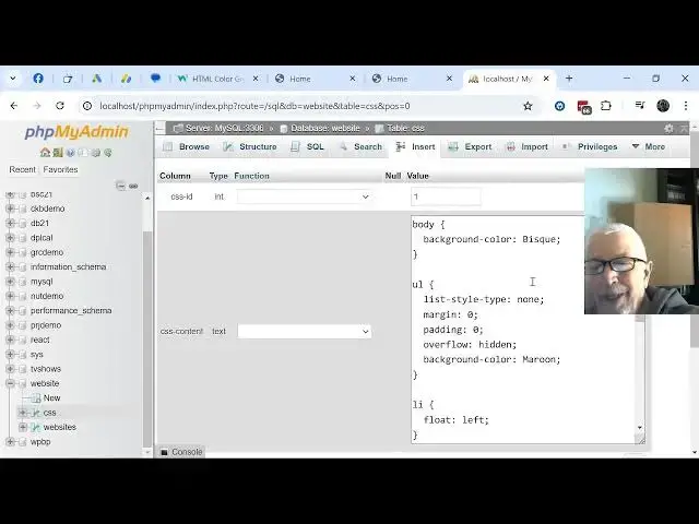 Video thumbnail for 2024 07 19 3:00 pm adding css to the database website