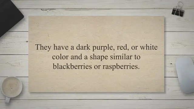 Video thumbnail for Can You Eat Mulberries?