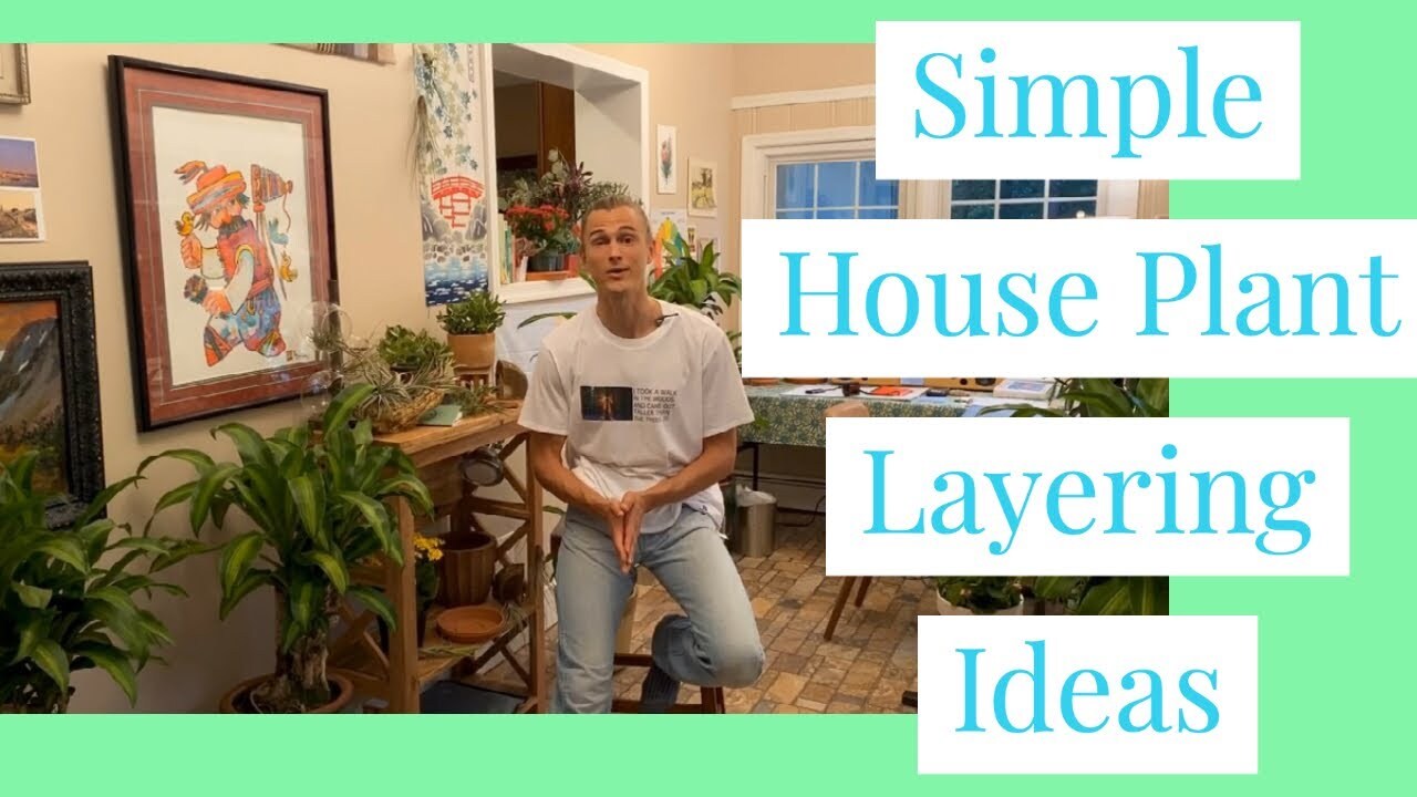 Video thumbnail for Simple House Plant Layering Ideas to Create Your Indoor Jungle