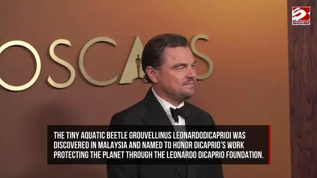 Video thumbnail for Celebrities who had newly discovered species named after them