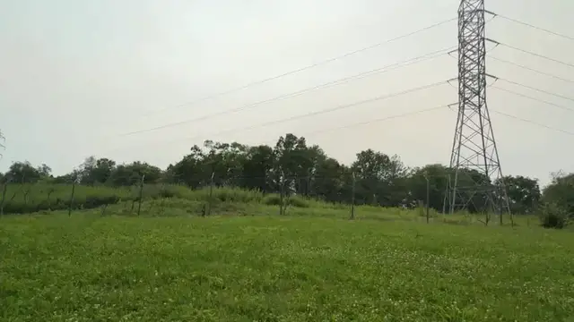 Video thumbnail for Bridgeport residents advised 'to remain calm' amid bullet and bomb detonations at Remington Woods