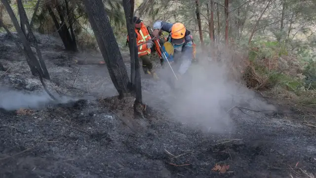 Video thumbnail for Indonesia wildfires send millions into health crisis as smoke blankets communities