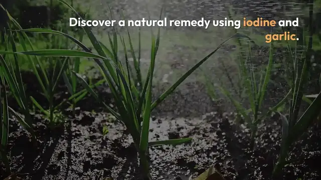 Video thumbnail for Natural Wart and Skin Tag Remedy