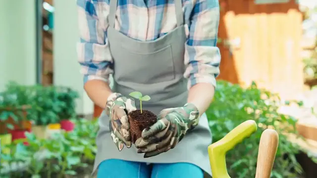 Video thumbnail for Indoor Vegetable Gardening Essentials