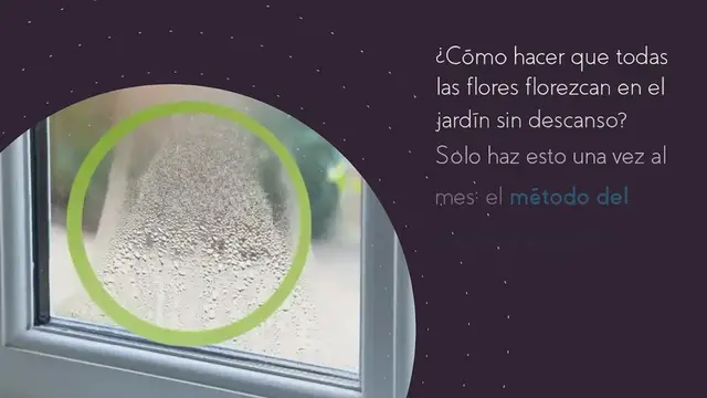 Video thumbnail for Hará que todas las flores del jardín o balcón florezcan sin parar: hazlo una vez al mes