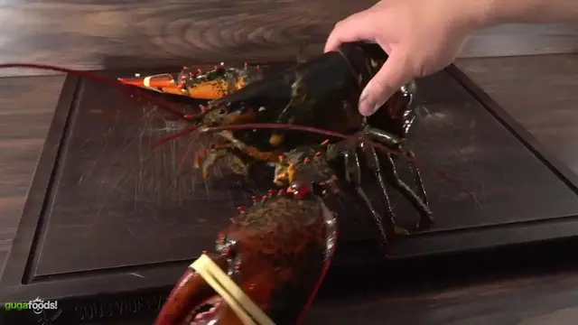 'Video thumbnail for I DRY AGED 4 giant LOBSTERS it's insane! ¦ Guga Foods (640p 24fps)'
