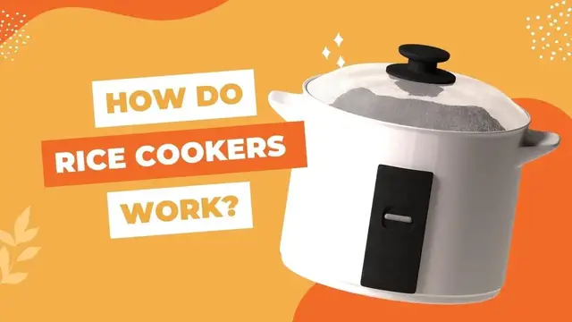 Video thumbnail for The Science Behind Perfect Rice: How Rice Cookers Work