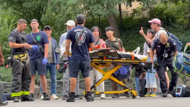 Video thumbnail for US: An Old Chinese Woman Hit By A Biker in Central Park 3.