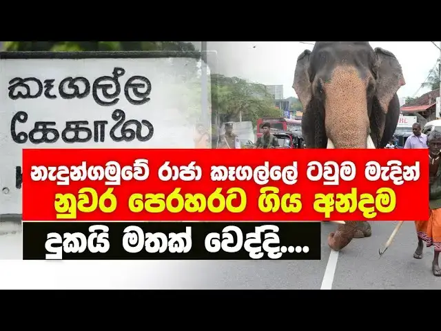 Video thumbnail for Nadungamuwa Raja