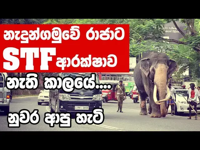 Video thumbnail for How Nedungamuwe Raja came to Kandy when there was no special security
